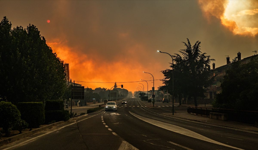 La verdadera causa de los incendios