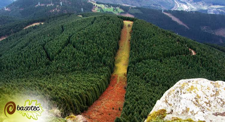 La verdadera causa de los incendios