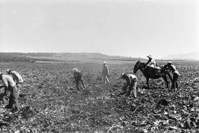 1931 ¿Cómo nació la segunda República?